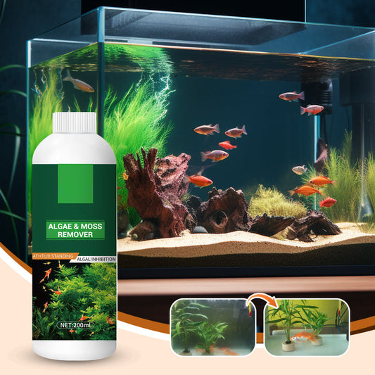 🎉Koop meer bespaar meer💥Algen- en mosverwijderaar voor aquariums - Veilige waterzuivering