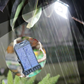 ☀️ Installation-Free Solar Clip-Lamp – Clip Anywhere, Solar Powered, No Wiring Needed