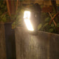 ☀️ Installation-Free Solar Clip-Lamp – Clip Anywhere, Solar Powered, No Wiring Needed